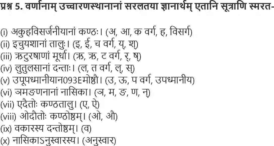 NCERT-Solution-Class-9-Abhyasvan-Bhav-Varn-Vichar-1272-page-5