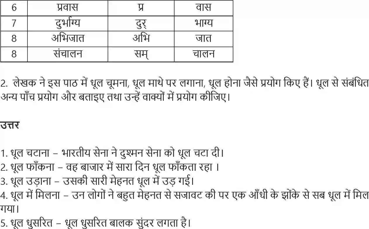 NCERT-Solution-Class-9-Hindi-Sparsh-Dhool-1183-page-6