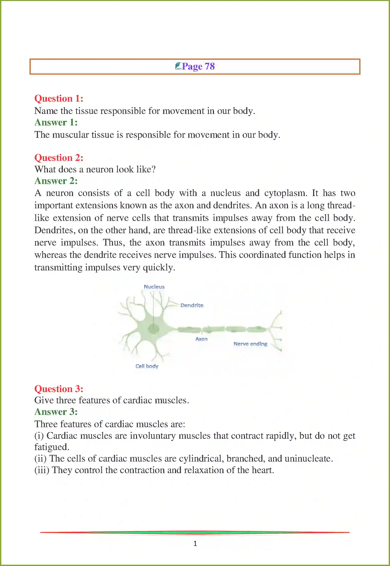 NCERT-Solution-Class-9-Science-Chapter-6-Tissues-1048-page-3