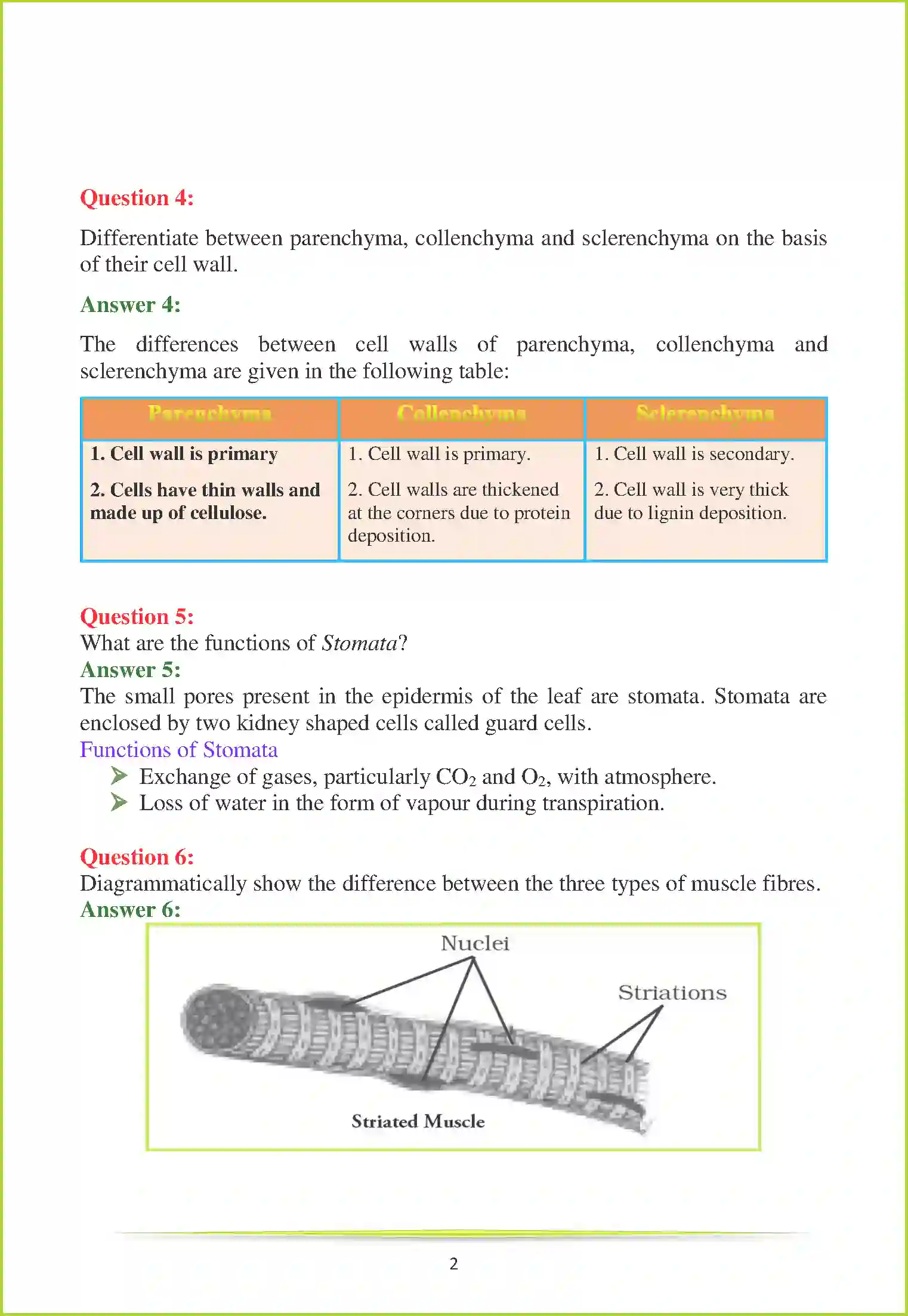 NCERT-Solution-Class-9-Science-Chapter-6-Tissues-1048-page-6