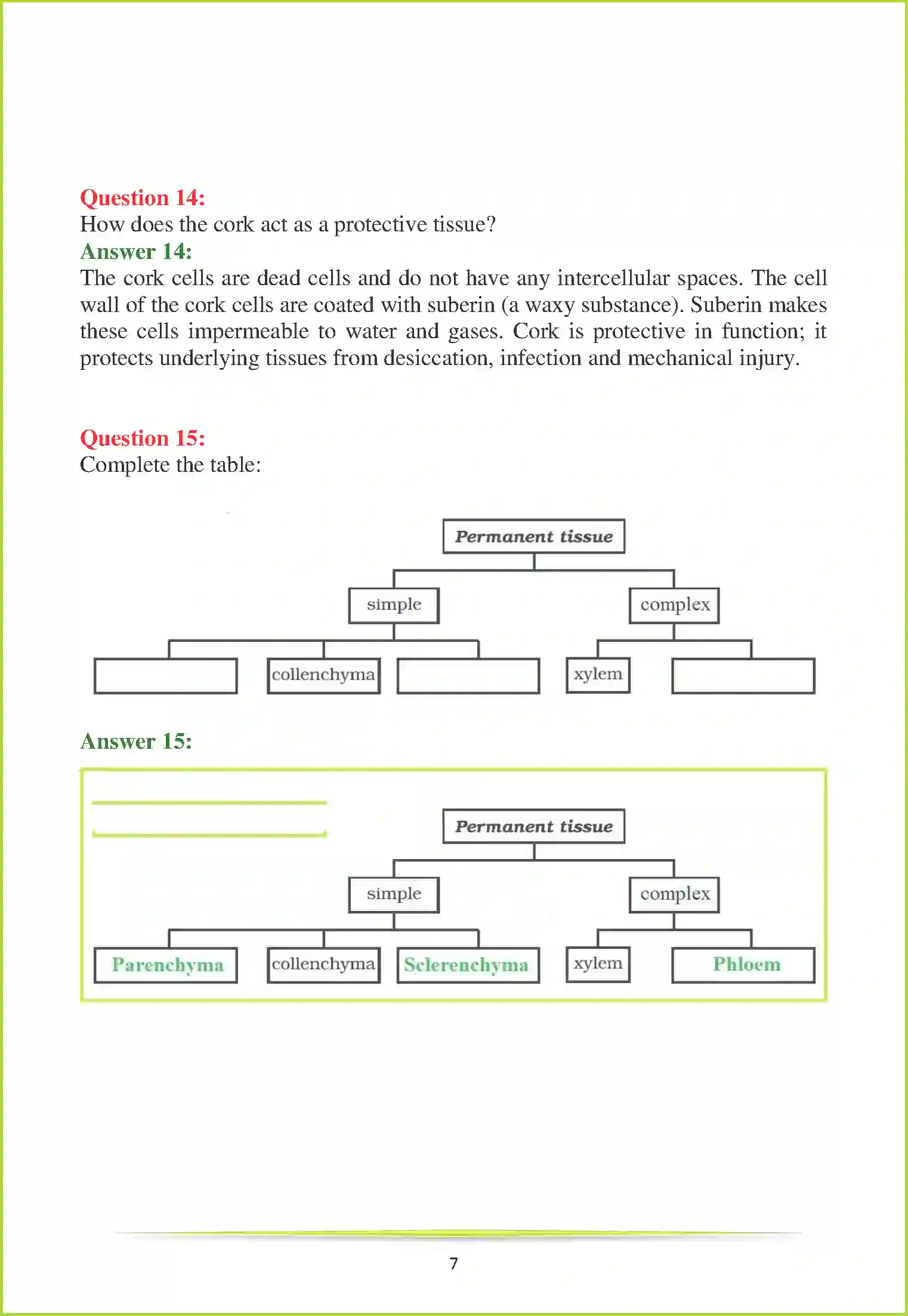 NCERT-Solution-Class-9-Science-Chapter-6-Tissues-3220-page-11