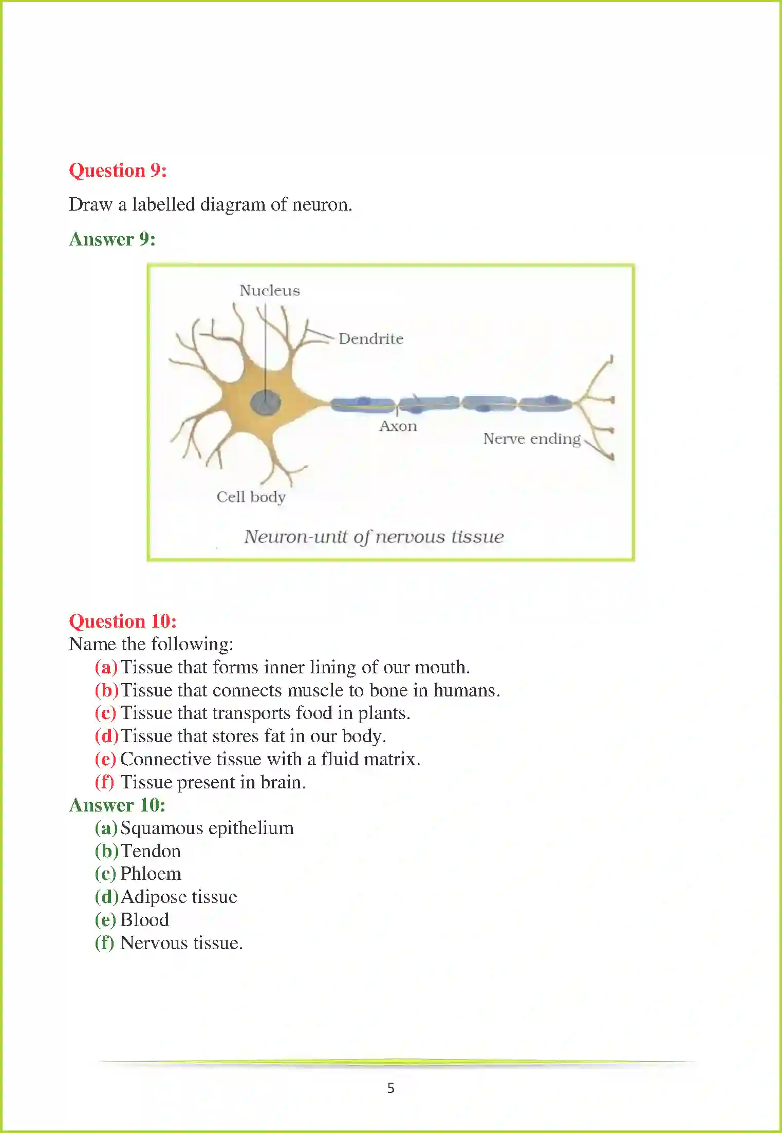 NCERT-Solution-Class-9-Science-Chapter-6-Tissues-3220-page-9