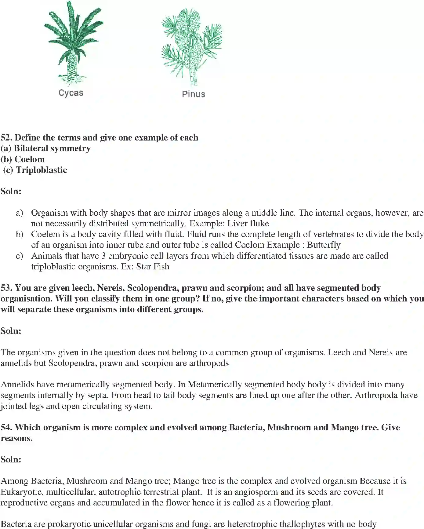 NCERT-Solution-Class-9-Science-Exemplar-Diversity-in-Living-Organisms-Exemplar-1230-page-20