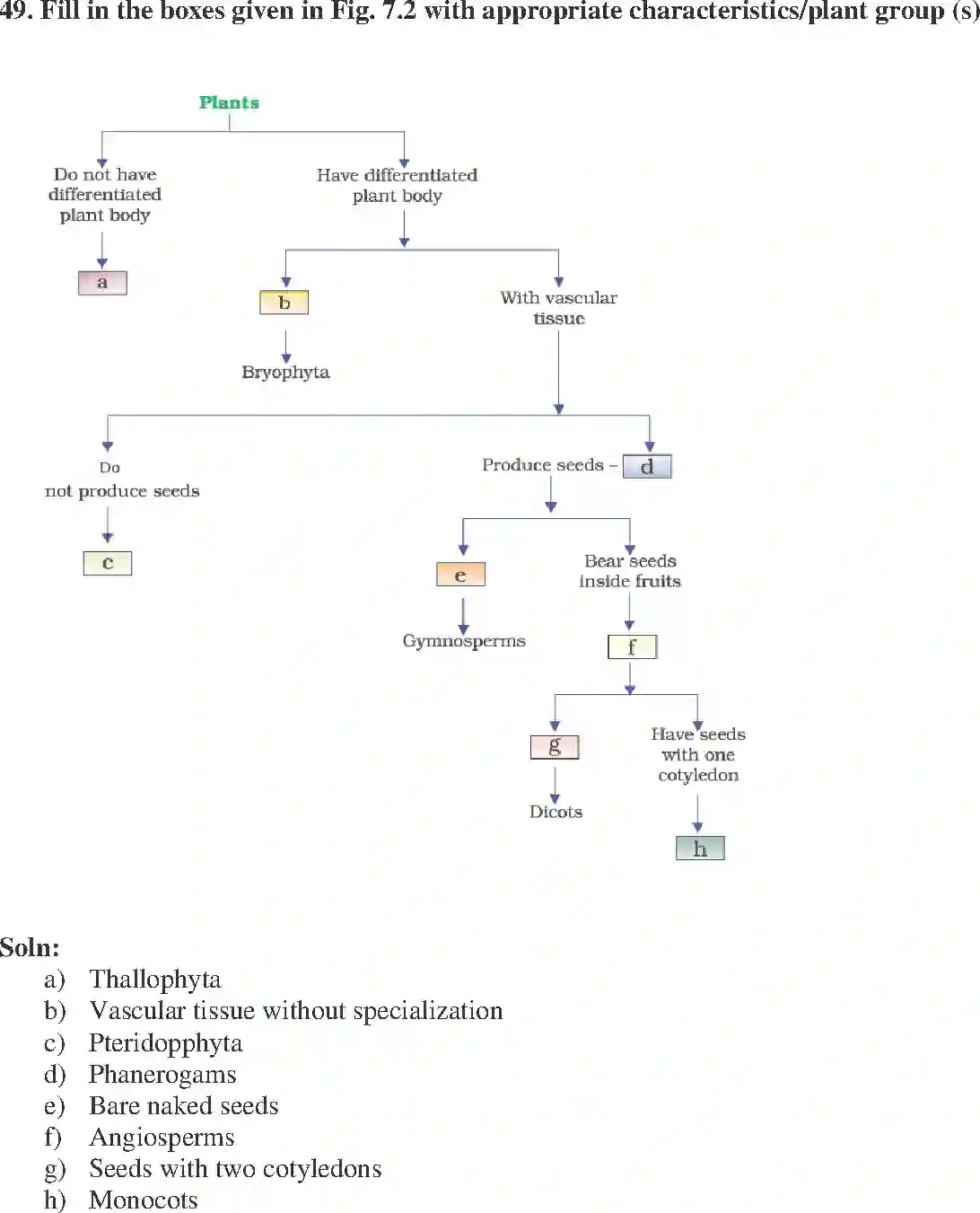 NCERT-Solution-Class-9-Science-Exemplar-Diversity-in-Living-Organisms-Exemplar-3402-page-18