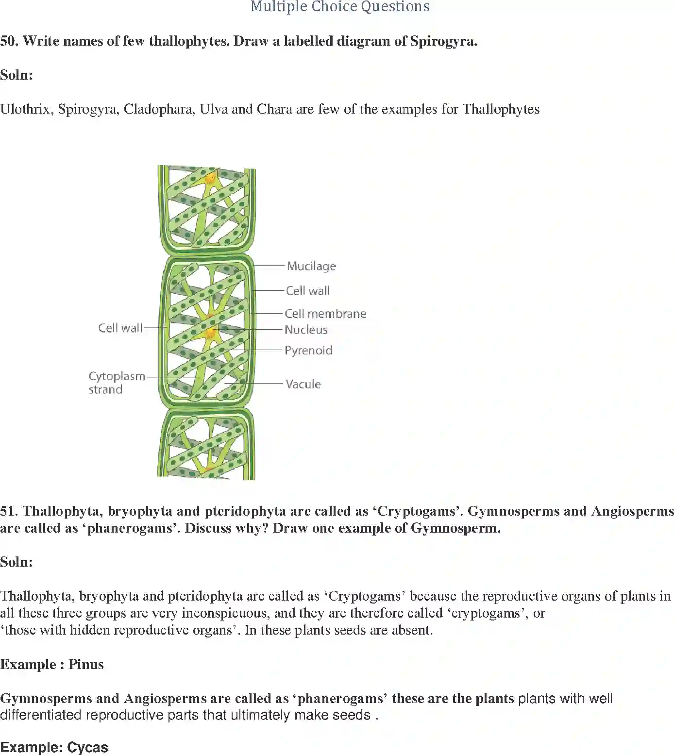NCERT-Solution-Class-9-Science-Exemplar-Diversity-in-Living-Organisms-Exemplar-3402-page-19
