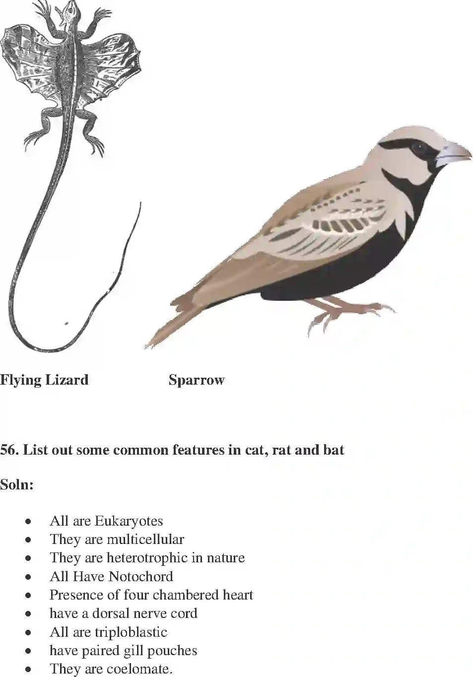 NCERT-Solution-Class-9-Science-Exemplar-Diversity-in-Living-Organisms-Exemplar-3402-page-22