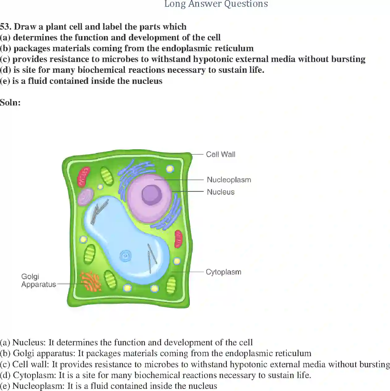 NCERT-Solution-Class-9-Science-Exemplar-The-Fundamental-Unit-of-Life-Exemplar-3400-page-14
