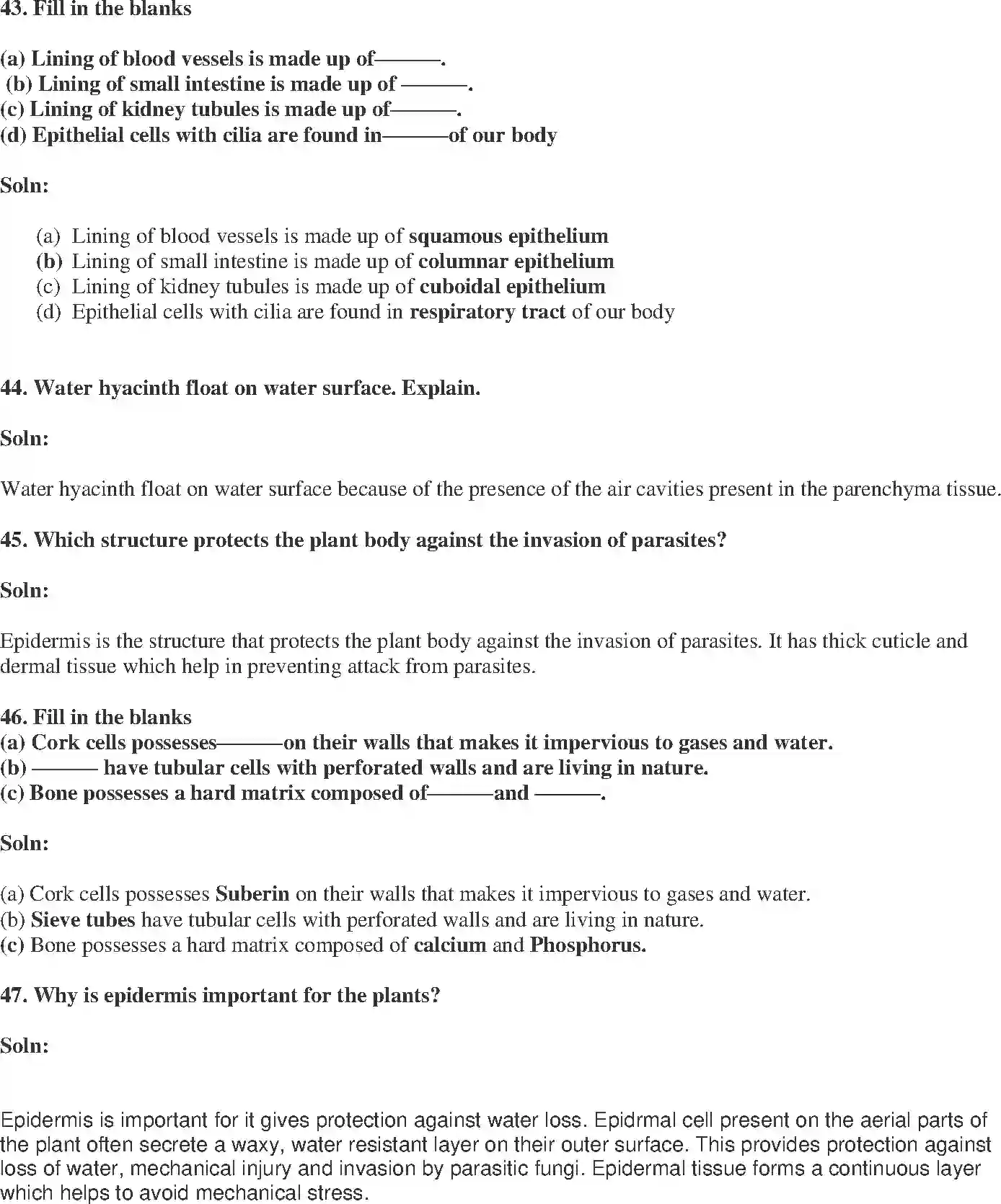 NCERT-Solution-Class-9-Science-Exemplar-Tissues-Exemplar-3401-page-15