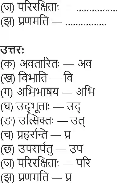 NCERT-Solution-Class-9-Shemushi-Pratyabhigyanam-3427-page-5
