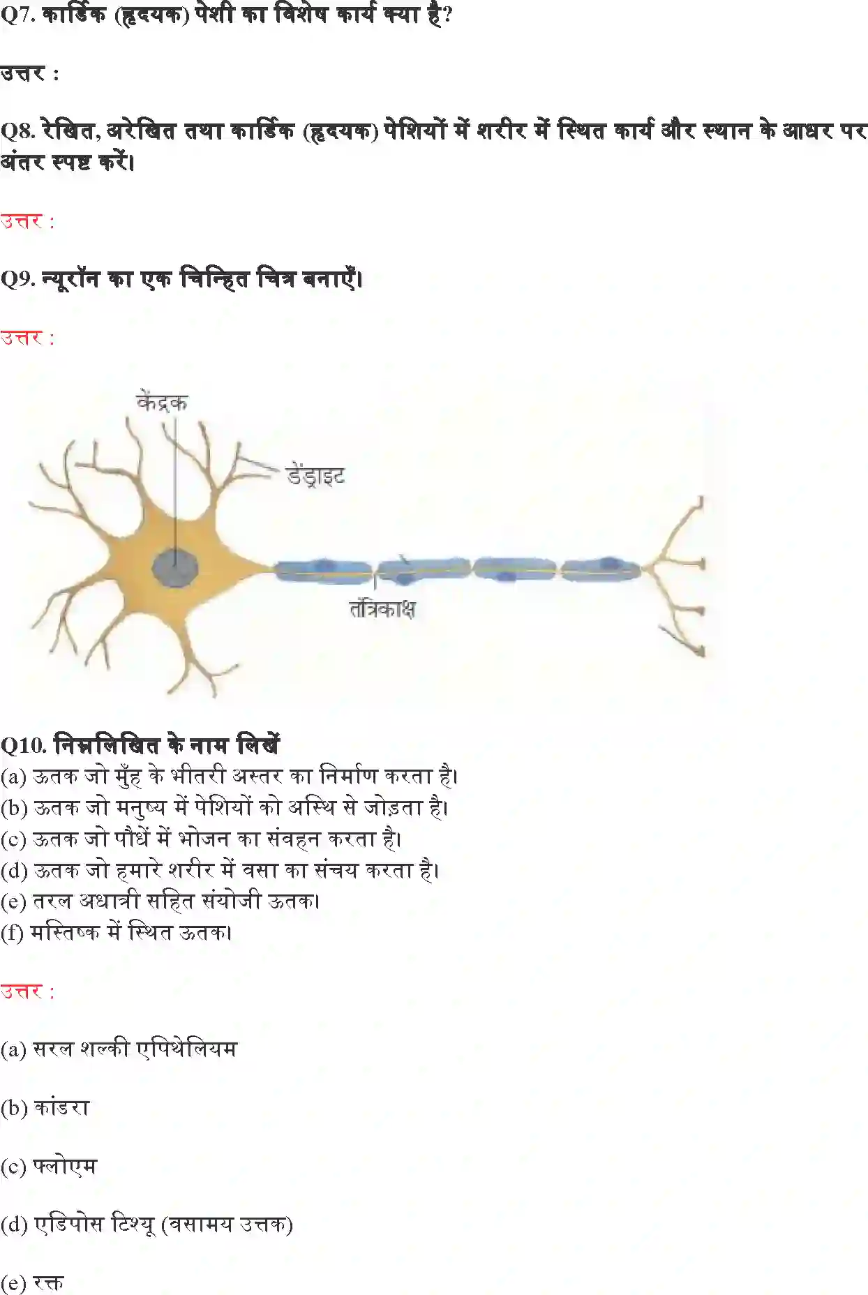 NCERT-Solution-Class-9-विज्ञान-ऊतक-4890-page-9