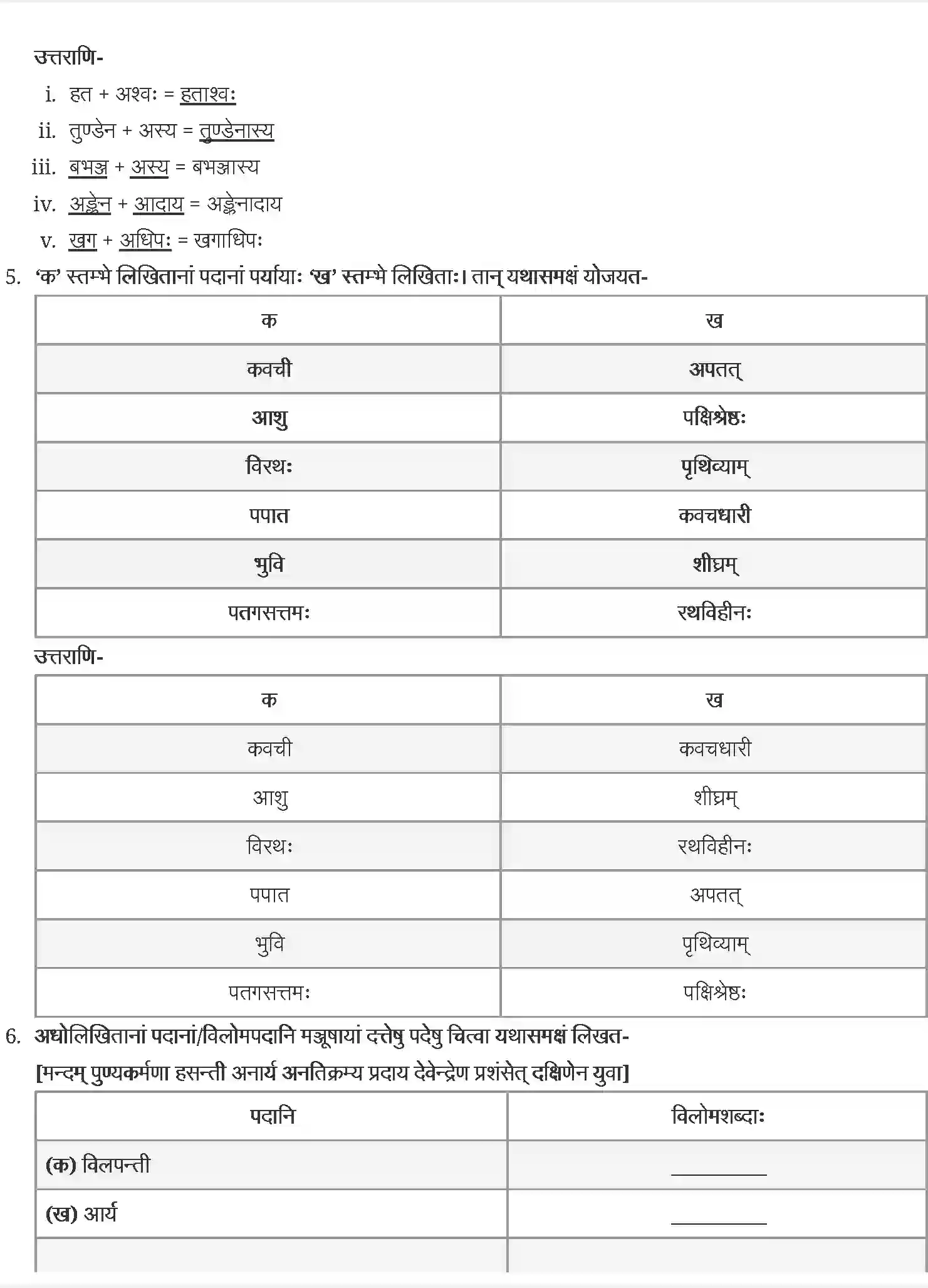 NCERT-Solution-Class-9-संस्कृत-जटायोः-शौर्यम्-4975-page-3